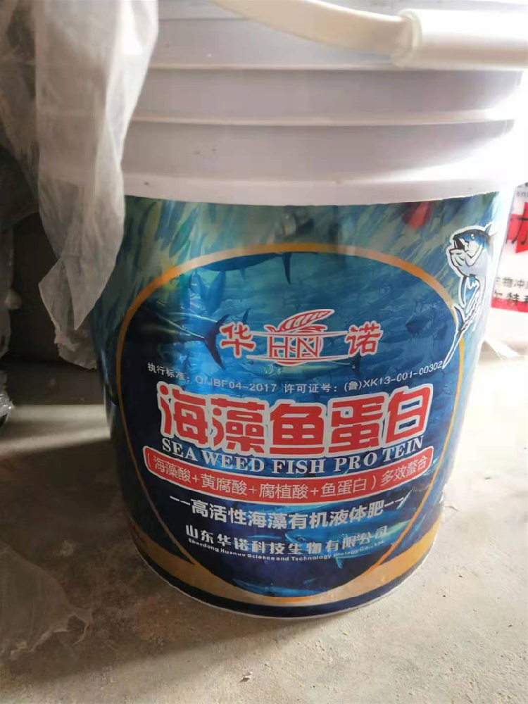 华诺海藻鱼蛋白
