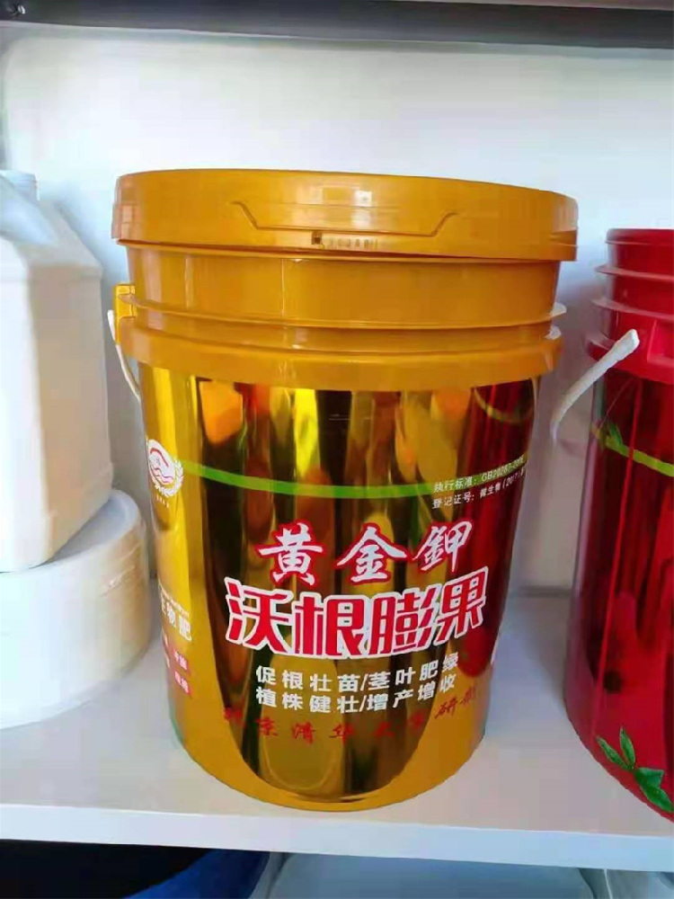 黄金甲沃根膨果