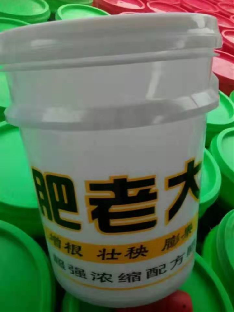 肥老大